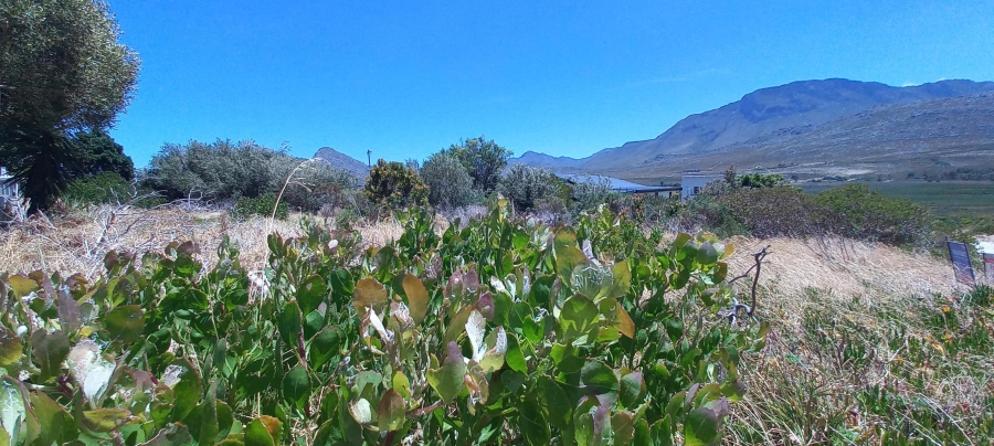 0 Bedroom Property for Sale in Pringle Bay Western Cape